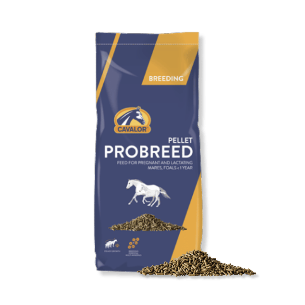 Cavalor Breeding - Probreed Pellet